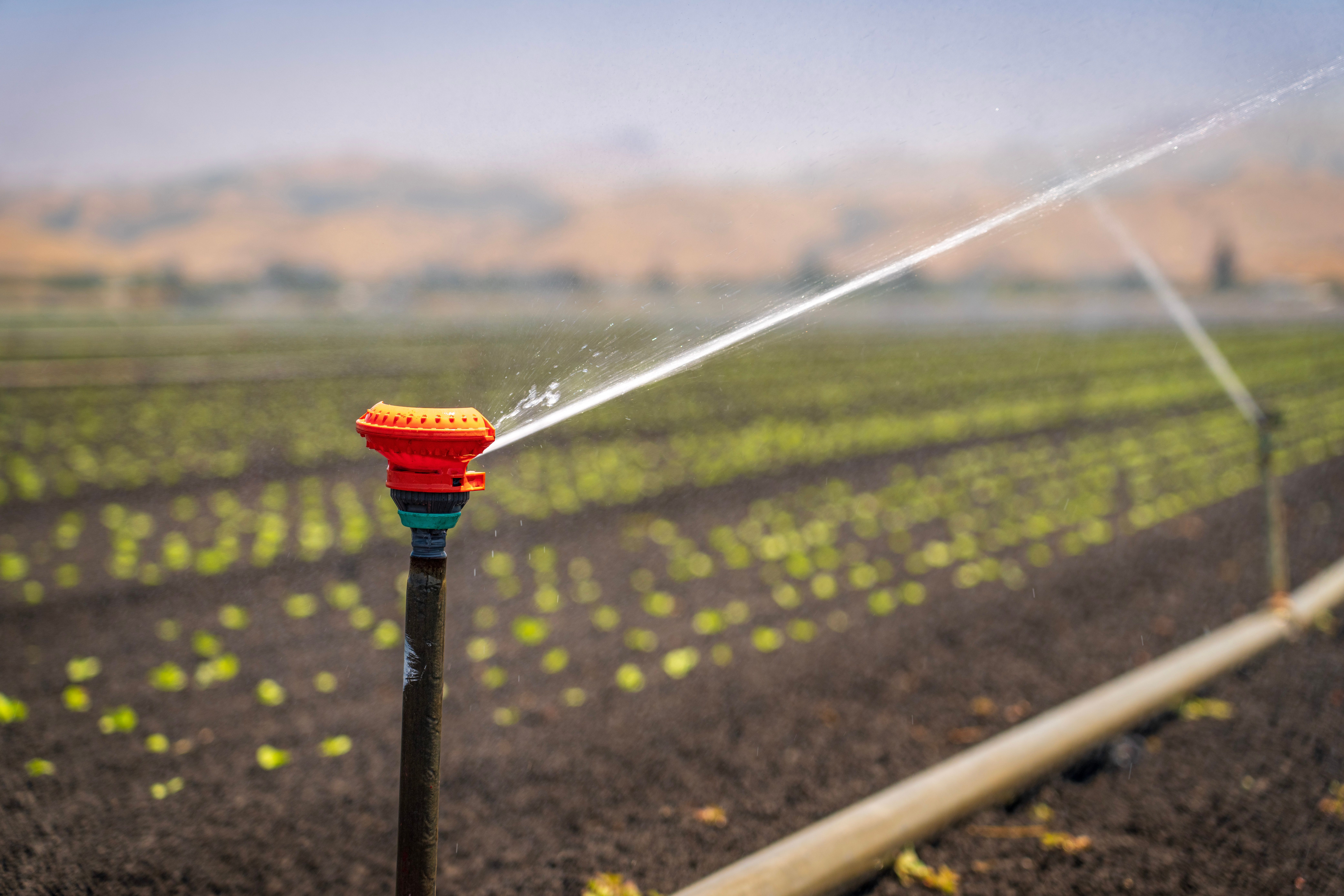 Intelligent Edge Computing Architectures for IoT-Based Smart Irrigation: A Critical Review of STM32, LoRa, and Edge–Cloud Intelligence
