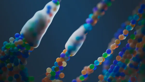 An in-Silico study – Targeting a Genetic Intellectually Different ability’s Therapy, through Phytochemicals
