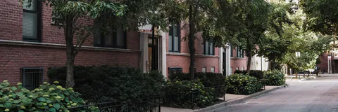 Neighborhood-Scale Urban Forest Structure and Health Inventory as Indicators of Green Infrastructure and Climate Resilience: The Case of Chatham, Chicago