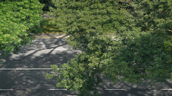 Neighborhood-Scale Urban Forest Structure and Health Inventory as Indicators of Green Infrastructure and Climate Resilience: The Case of Chatham, Chicago