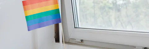 Repensar la Educación Social: Competencias Profesionales Para dar Respuesta de Manera Inclusiva a la Diversidad Sexogenérica