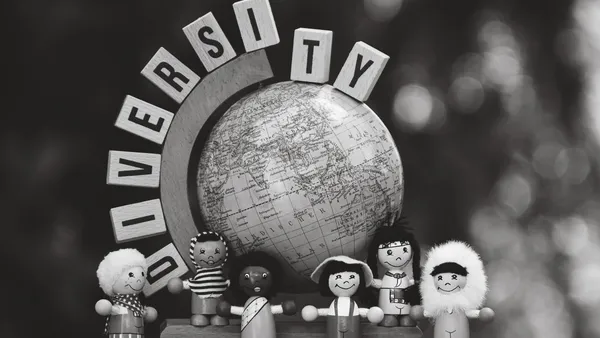 Repensar la Educación Social: Competencias Profesionales Para dar Respuesta de Manera Inclusiva a la Diversidad Sexogenérica