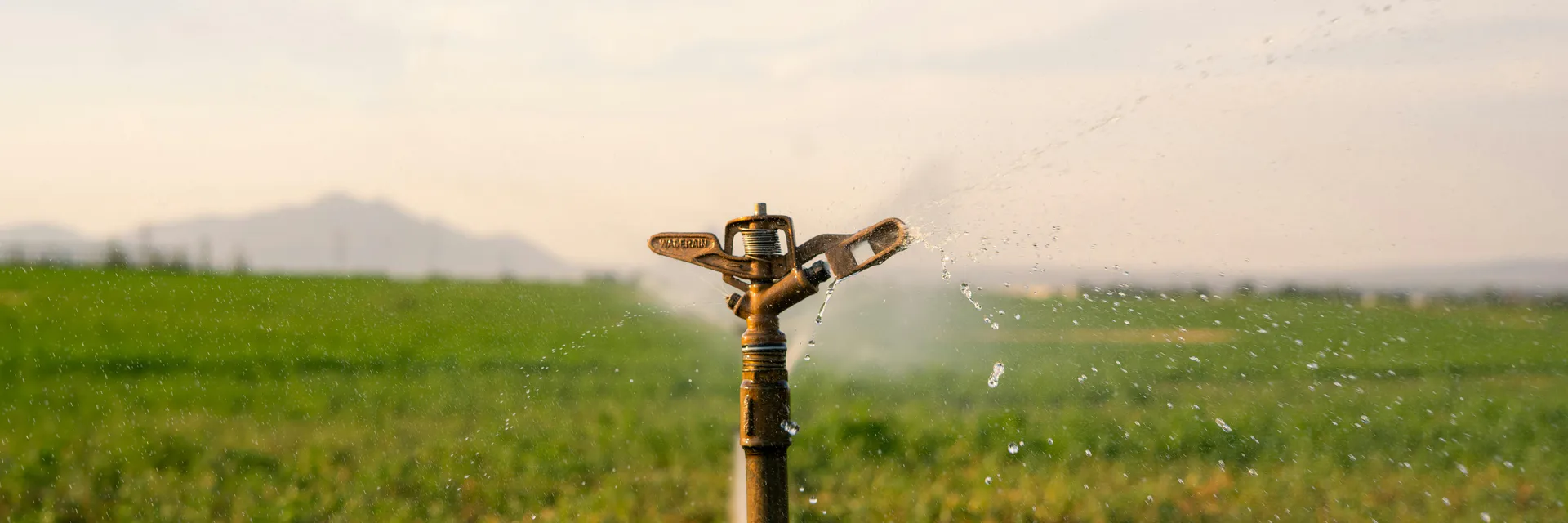 Desenvolvimento de um sistema inteligente de irrigação automatizada baseado em sensores de humidade do solo para aumento da eficiência hídrica em zonas semi-áridas Banner
