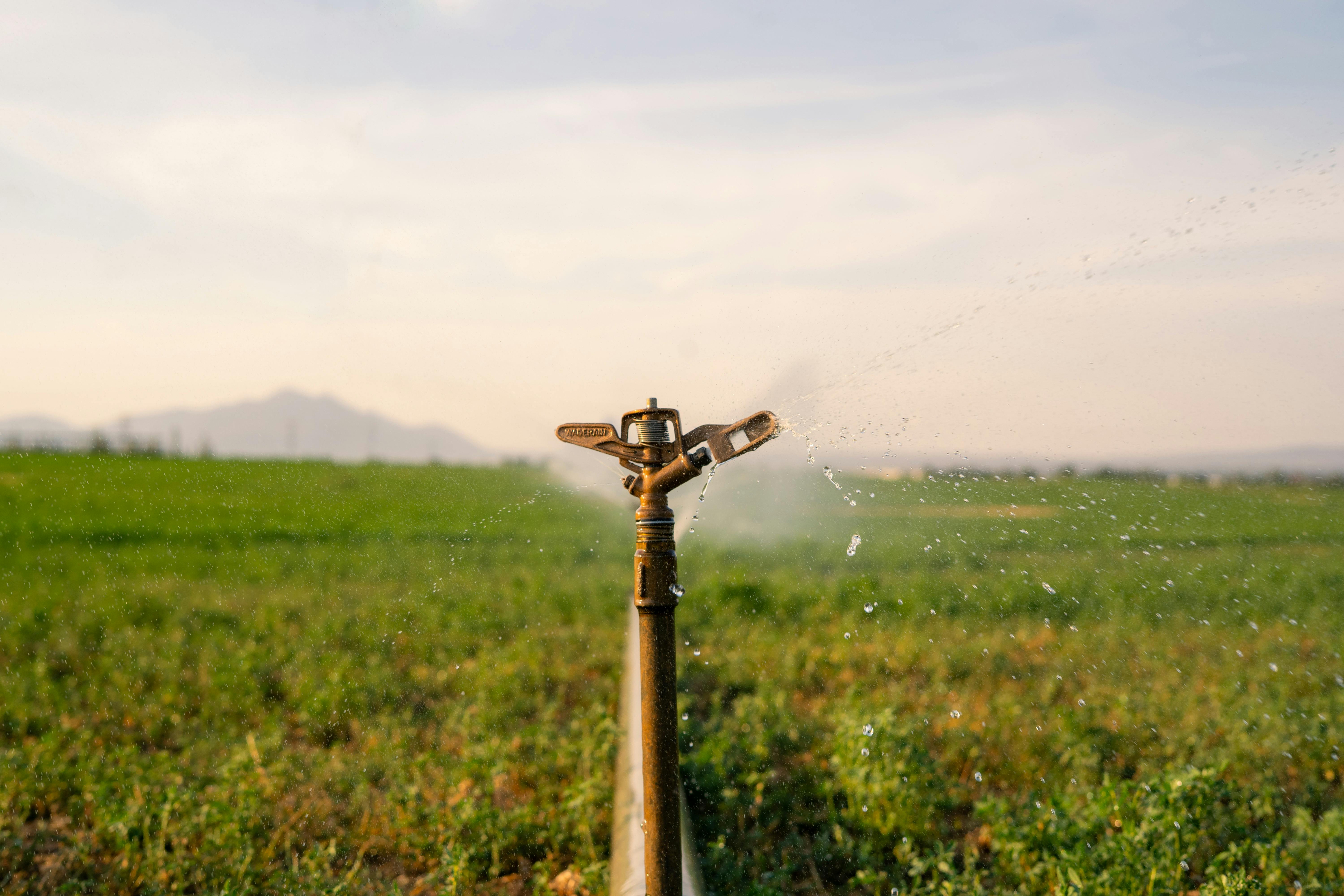 Desenvolvimento de um sistema inteligente de irrigação automatizada baseado em sensores de humidade do solo para aumento da eficiência hídrica em zonas semi-áridas Banner
