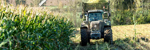 The Impact of Production Loan Towards Productivity of Corn Farmers in Sarangani Province