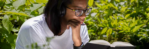 The Experience of Reforestation as a Link to Education Environment in Elementary Schools in Tlapa De Comonfort, Guerrero, Mexico