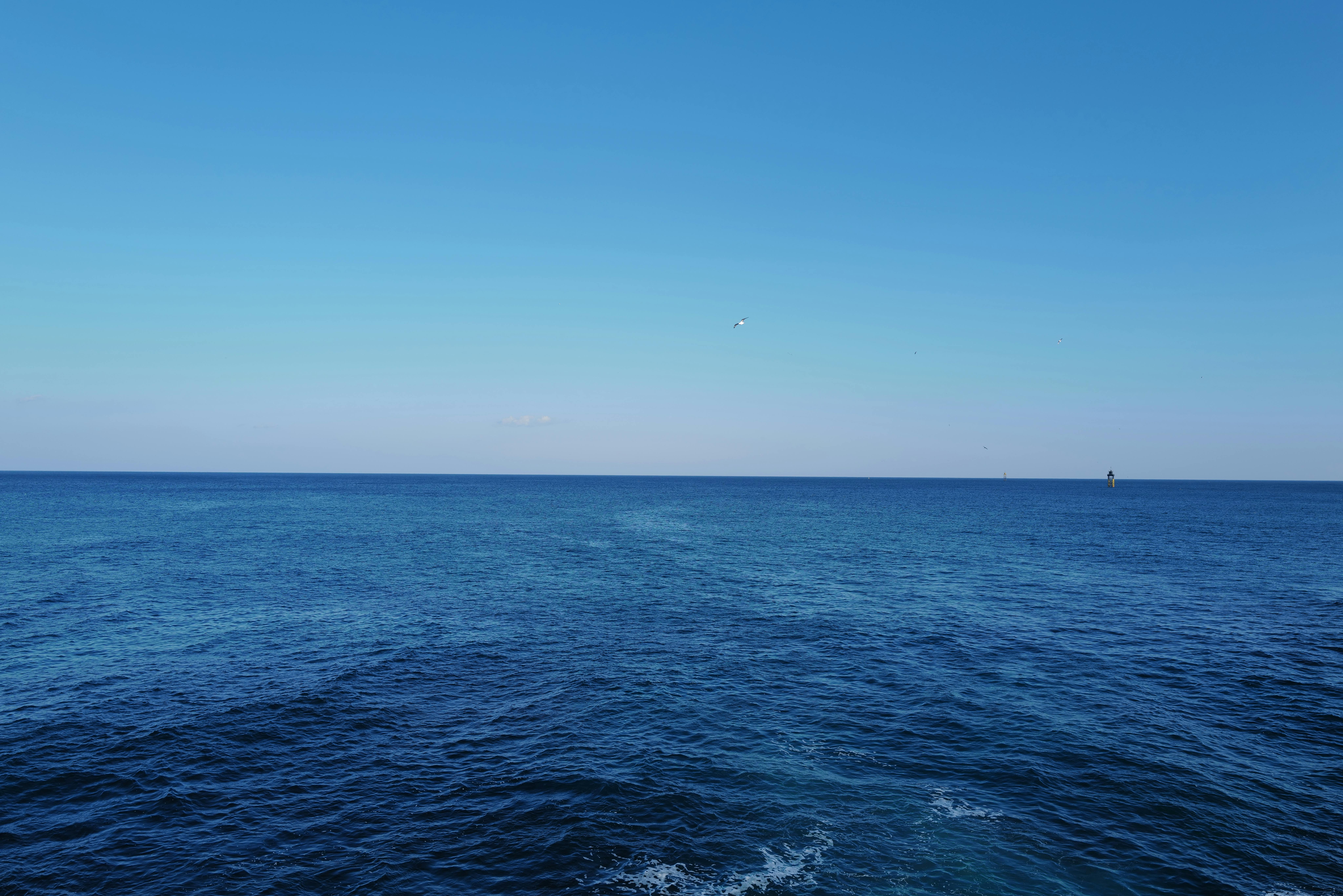 Discursive Construction of the Black Migrant Subject in Nativas (2008) by Inongo-vi-Makomè and Calella Sen Saída (2001) by Víctor Omgbá Banner