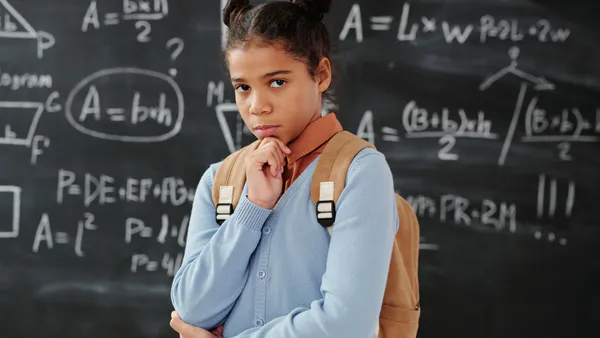 Educational Aspirations and Inequality: Determinants of High School Students’ Intentions to Pursue Higher Education Across Selected Countries