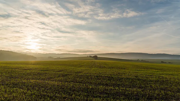 On the Behavior of Certain Artificial Grasslands on the Slopes of the Central Balkan Mountain in Bulgaria.