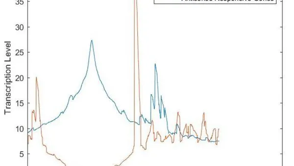 NET-Seq and MNase-seq Analysis of Gene Response of S.Cerevisiae in Galactose Environment