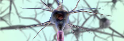Evaluating Psilocybin as a Treatment for Neuropsychiatric Symptoms in Parkinson’s  Disease