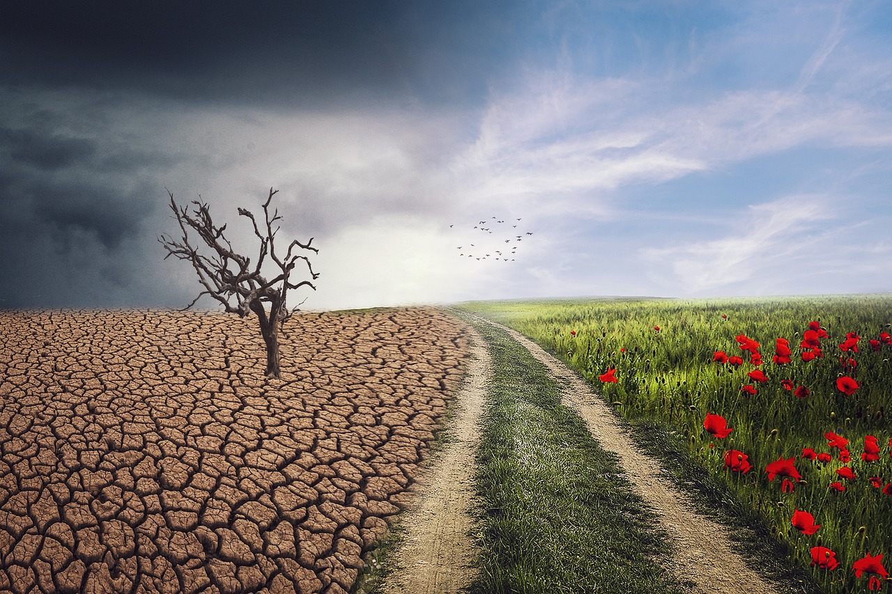Addressing Security Risk Caused By Climate Change Across Nations: The Role of Non-State Policy Actors