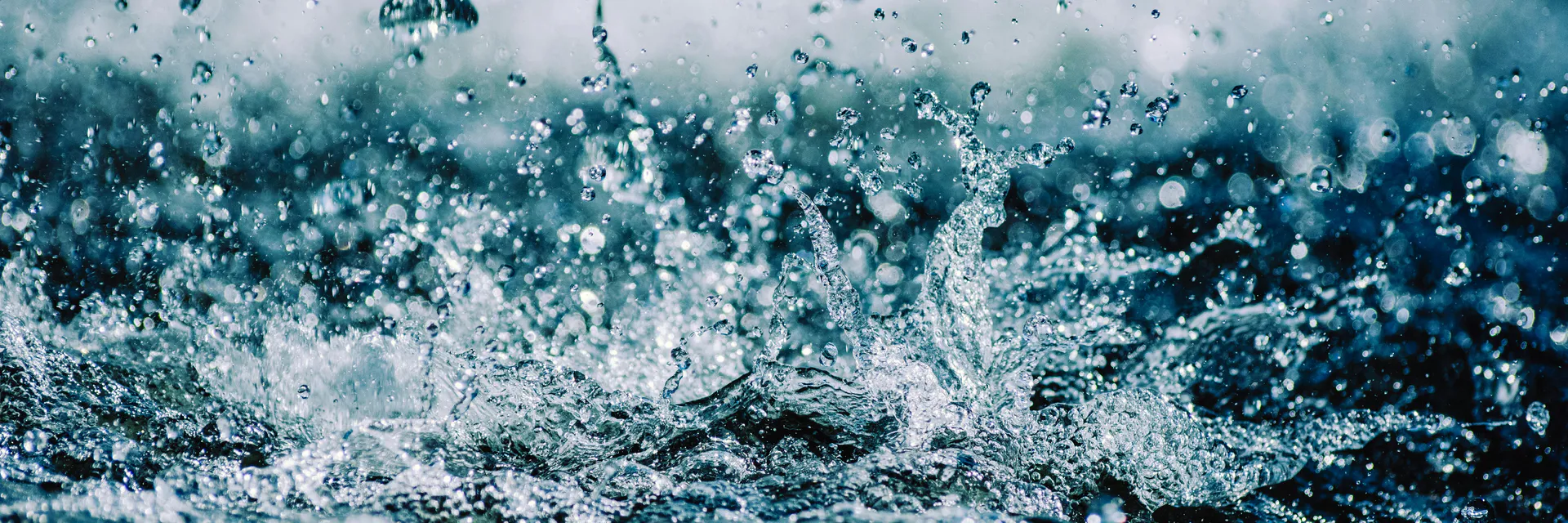 Chlorinated Water Remains Toxic Even After Filtration Banner