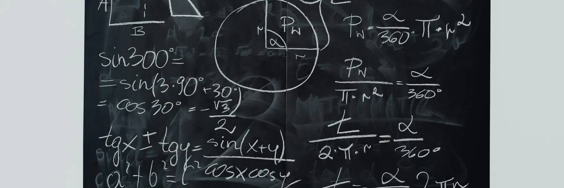 Closed Motion of a Biological Time Vector Field and the Cellular Theory of a Plant Organism Banner