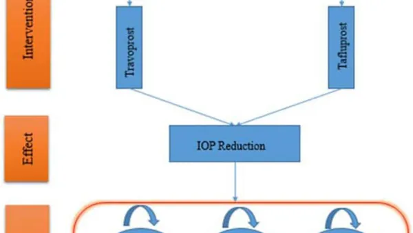 Pharmaco-Economic Evaluation of the Treatment used in Ophthalmological Practice