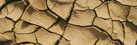Modelling the Plant Silicon Hydraulic Capacitance and Passive Uptake under Drought and Saline Conditions