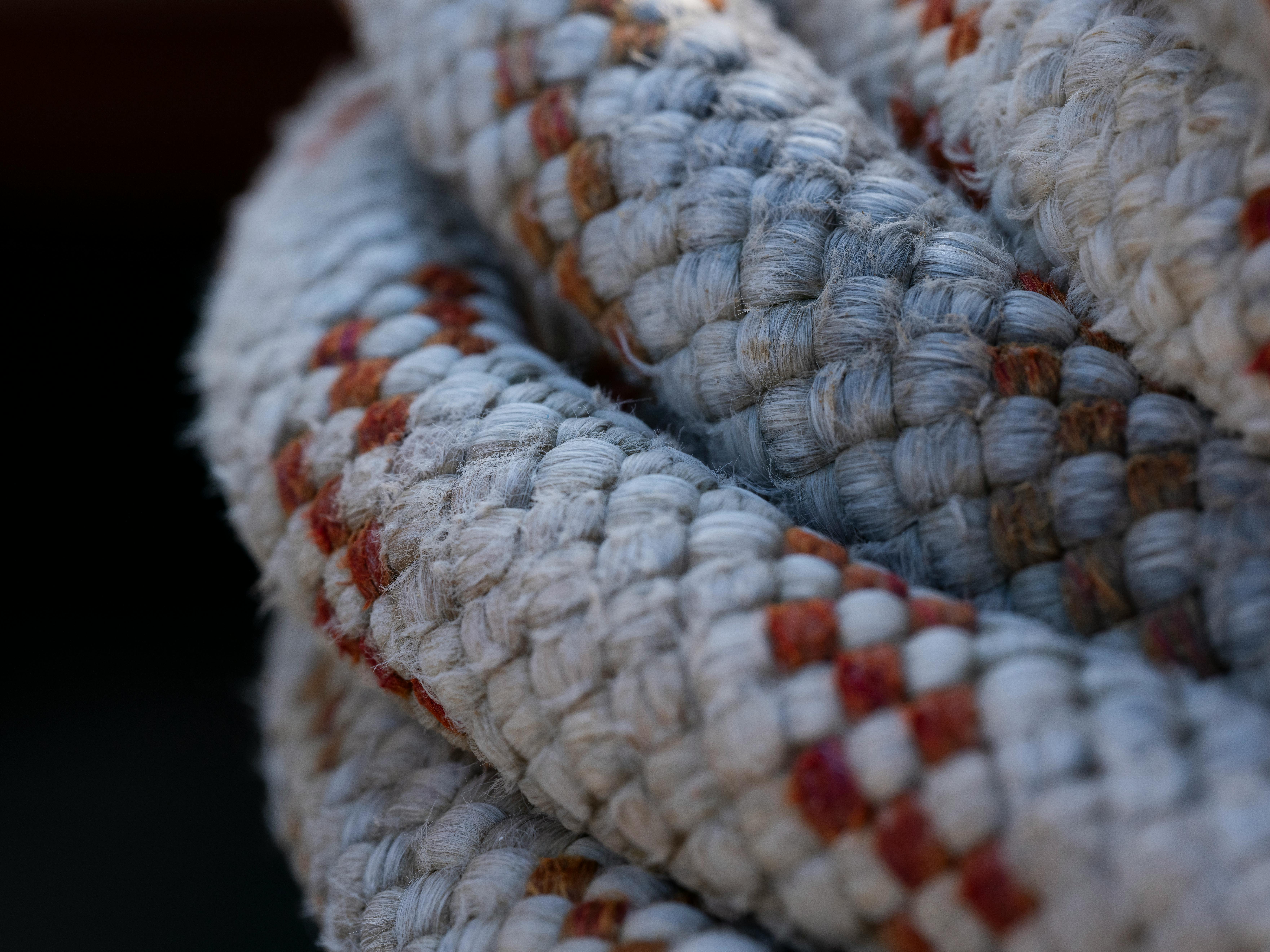 Enhancing Composite Performance: Hydrothermally Treated Wood Reinforcement in Recycled Polypropylene