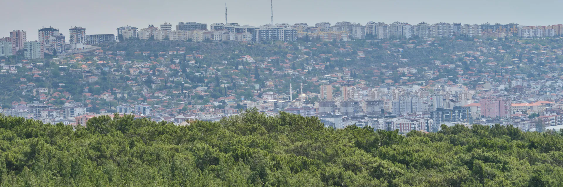 Urban Regeneration and Human Rehabilitation –  Thriven by Fourth Nature Banner