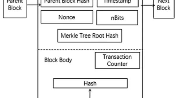 Blockchain Challenges: Advantages and Algorithms
