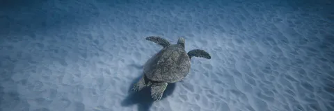A Gamification Approach for Ocean Sustainability Awareness