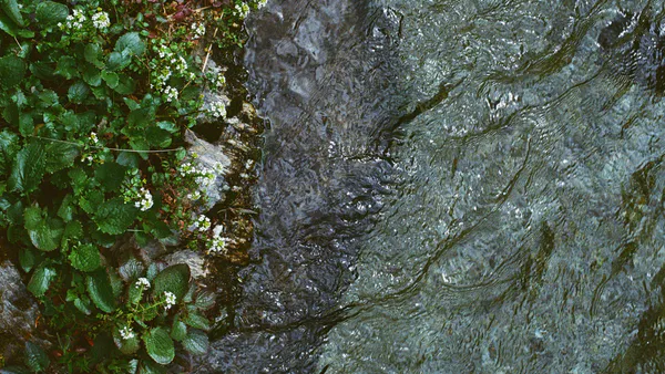 Assessment of the Water Quality of some Sulfur Springs in the Bashtabia area within the City of Mosul
