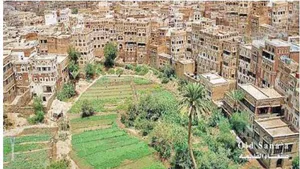 Green Spaces in Sana’a Old City – Yemen  between Past to Present