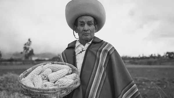 Challenges of Access to Human Rights in the Amazon Context: Ecosystem Insights and Identifying Key Local Players and Initiatives for Legal and Policy Frameworks