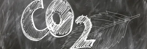 Carbon Credits: Sustainability and Corporate Governance