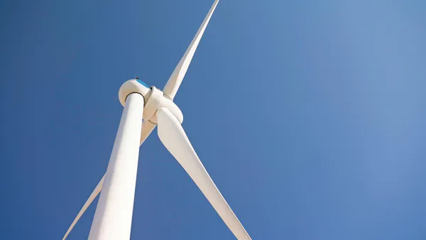 Carbon Credits: Sustainability and Corporate Governance