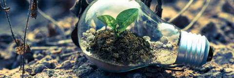 Transitioning from Natural Conservationism to Sustainable Development: A Shift in Environmental Policy