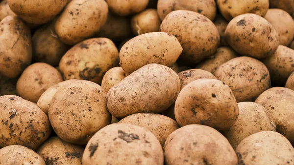 Effect of Integrated Nutrient Management on Tuber Dry Matter Accumulation and Uptake of  Nutrients by Potato (Solanum Tuberosum L.)
