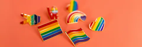 Communication for Inclusion in Universities: Study of the Perception of LGBTQI+ Actions at the Complutense University of Madrid