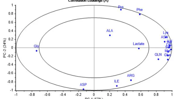 Determination of Best Nutritional Conditions for a Monoclonal Antibody-Producing Cell Line based on a Multivariate Data Analysis Approach