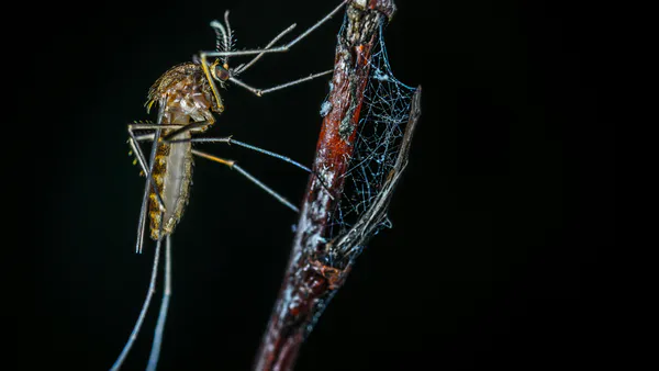 Risk Factors Associated With the Prevalence of the Zika Virus