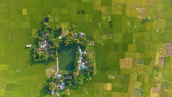 The Crux of Social and Economic Empowerment of Transgender (Hijra) Communities in Bangladesh: A Case Study of Mohammadpur Area in Dhaka