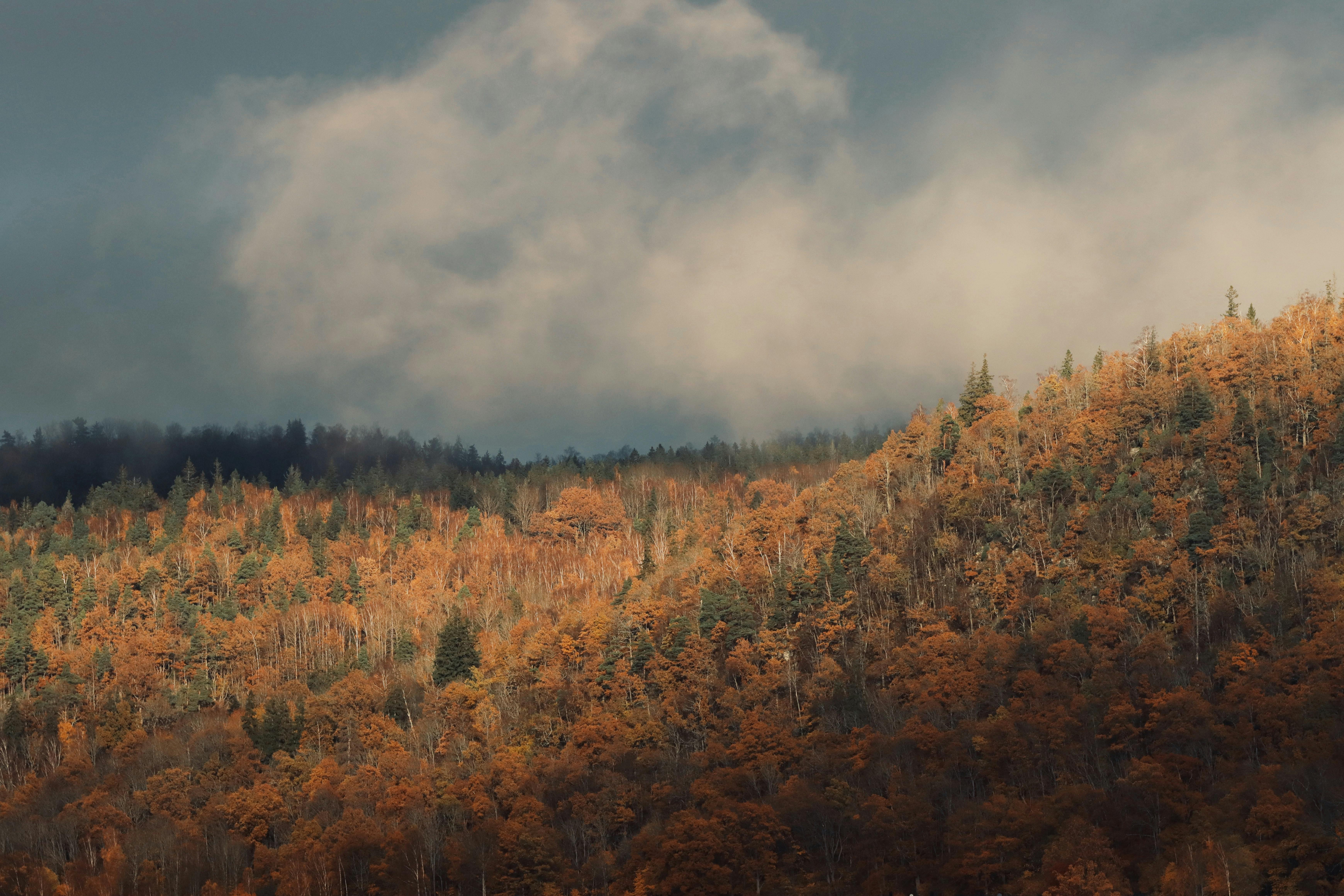 Ludwig Feuerbach – Philosophical Pioneer of Contemporaneity