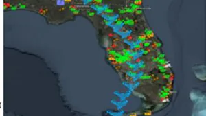 Socio-Technical Power System Resilience