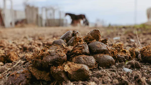 Ecological Impacts of Untreated Chicken Manure on Soil Health of a Few Poultry Farms in Osun State, Nigeria
