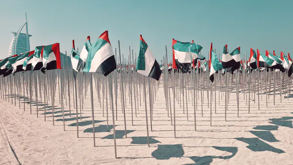Emirati Foreign Policy strategy in the Context of Ukraine-UAE Relations