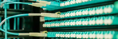 Digital Media and Culture Wars: The Wi Spa Case