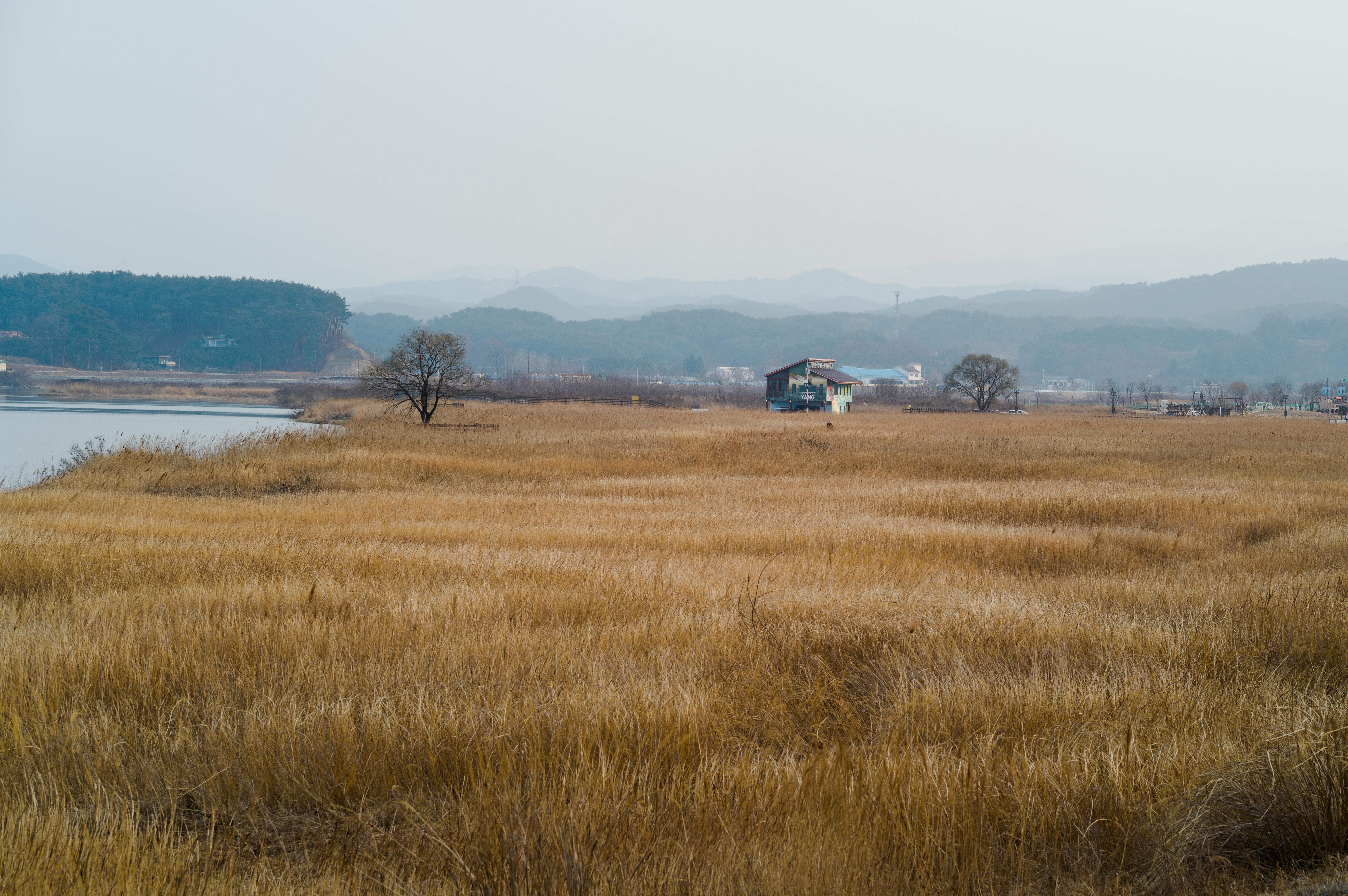 A Market Based Approach of Sustainable and Inclusive Growth of Tourism:  A Case Study of Mwanza Tanzania