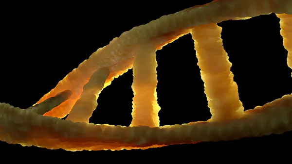 Epigenetics Theoretical Limits of Synthetic  Genomes :  The Cases of Artificials Caulobacter (C. eth-2.0), Mycoplasma Mycoides (JCVI-Syn 1.0, JCVI-Syn 3.0 and JCVI_3A), E-coli and YEAST chr XII