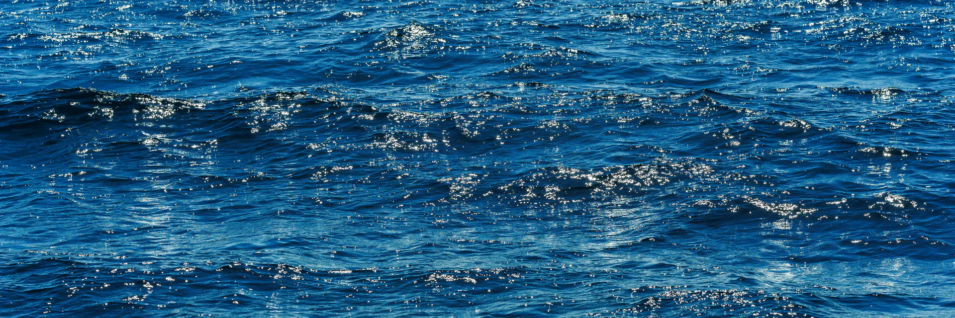 Fostering Governance at Remote Marine Protected Areas in Times of Blue  Economy: Baseline for Stakeholders Composition Banner