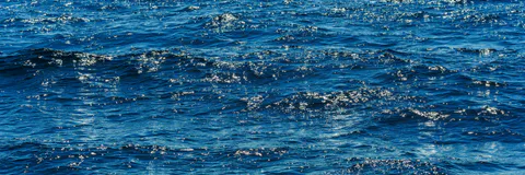 Fostering Governance at Remote Marine Protected Areas in Times of Blue  Economy: Baseline for Stakeholders Composition