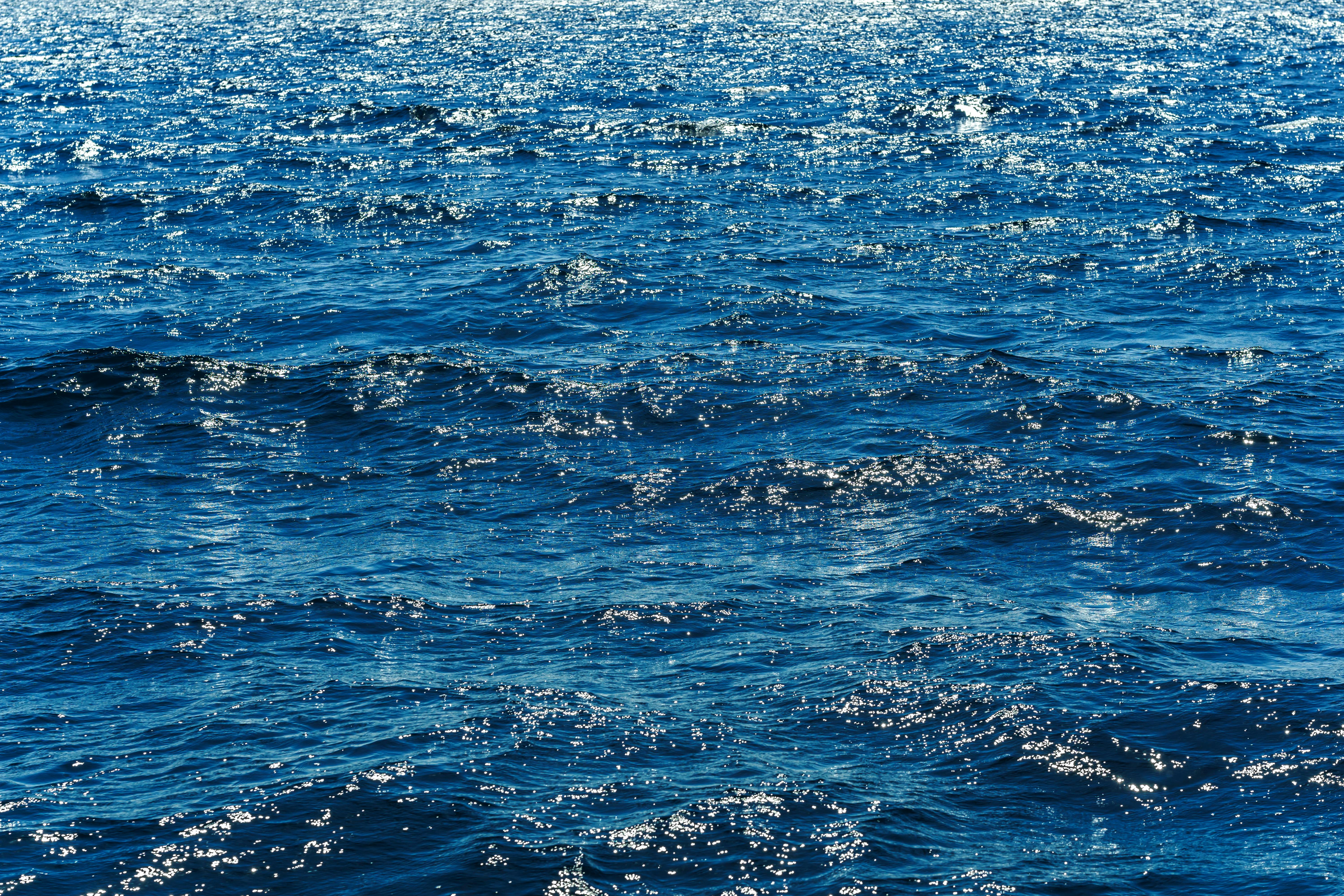 Fostering Governance at Remote Marine Protected Areas in Times of Blue  Economy: Baseline for Stakeholders Composition