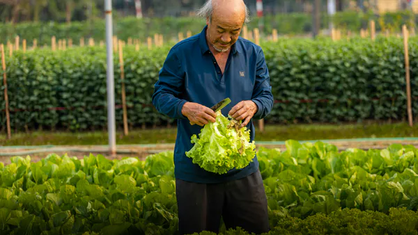 Agroecology in Metropolitan Regions in Brazil – Socioterritorial and Sociospatial Movements