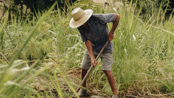 Effects of Government Programs on Food Acquisition for Family Farming: The Cooperative Seed between Brazil-Africa
