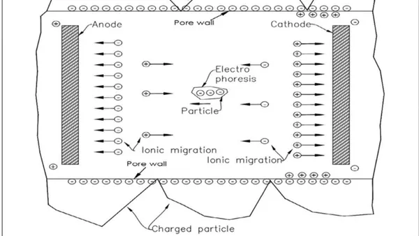 Fundamentals of Electro Kinetics and Ionic Interactions for Durability Enhancement of Cement Concrete