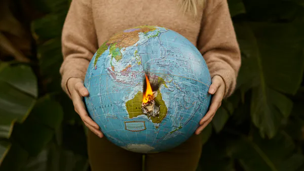 Internal Structure of Planets: The Case of the Earth