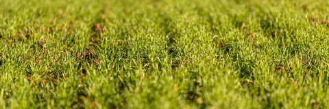 Cropland Bioaccumulation Risks of Potentially Toxic Elements in Soil of some Designated Foodstuffs Cultivated in Odu’a Farm Establishment, Aawe, Oyo State, Nigeria